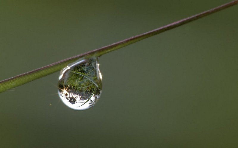 הטיפה
