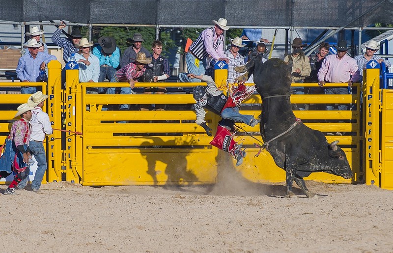 Cowboys