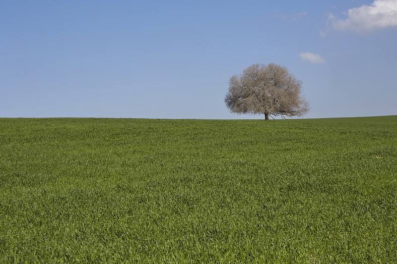 מרחבים