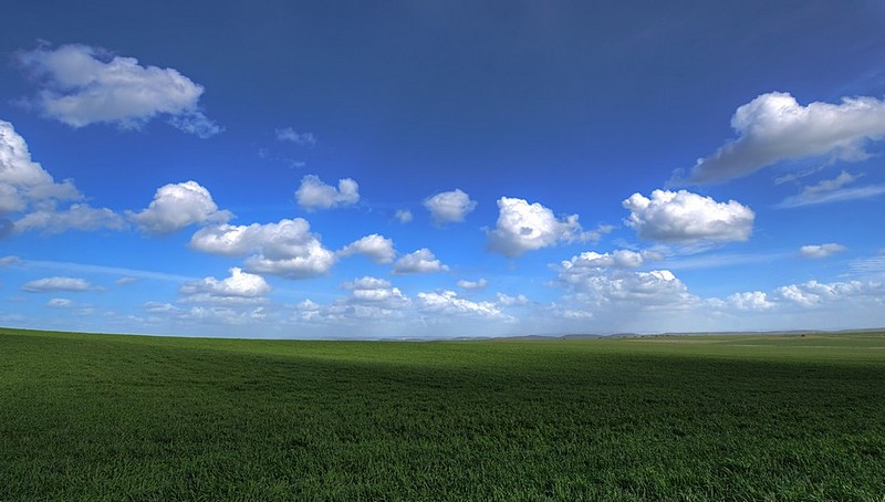 שדוץ ירוקים