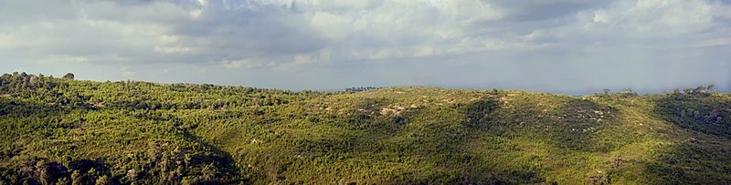 מבט מניר עציון