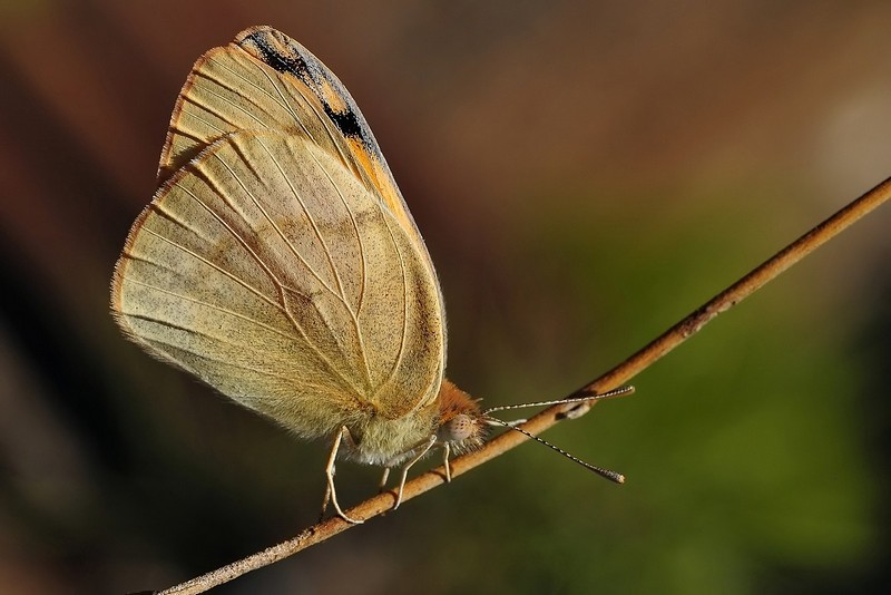 מבטים מטה